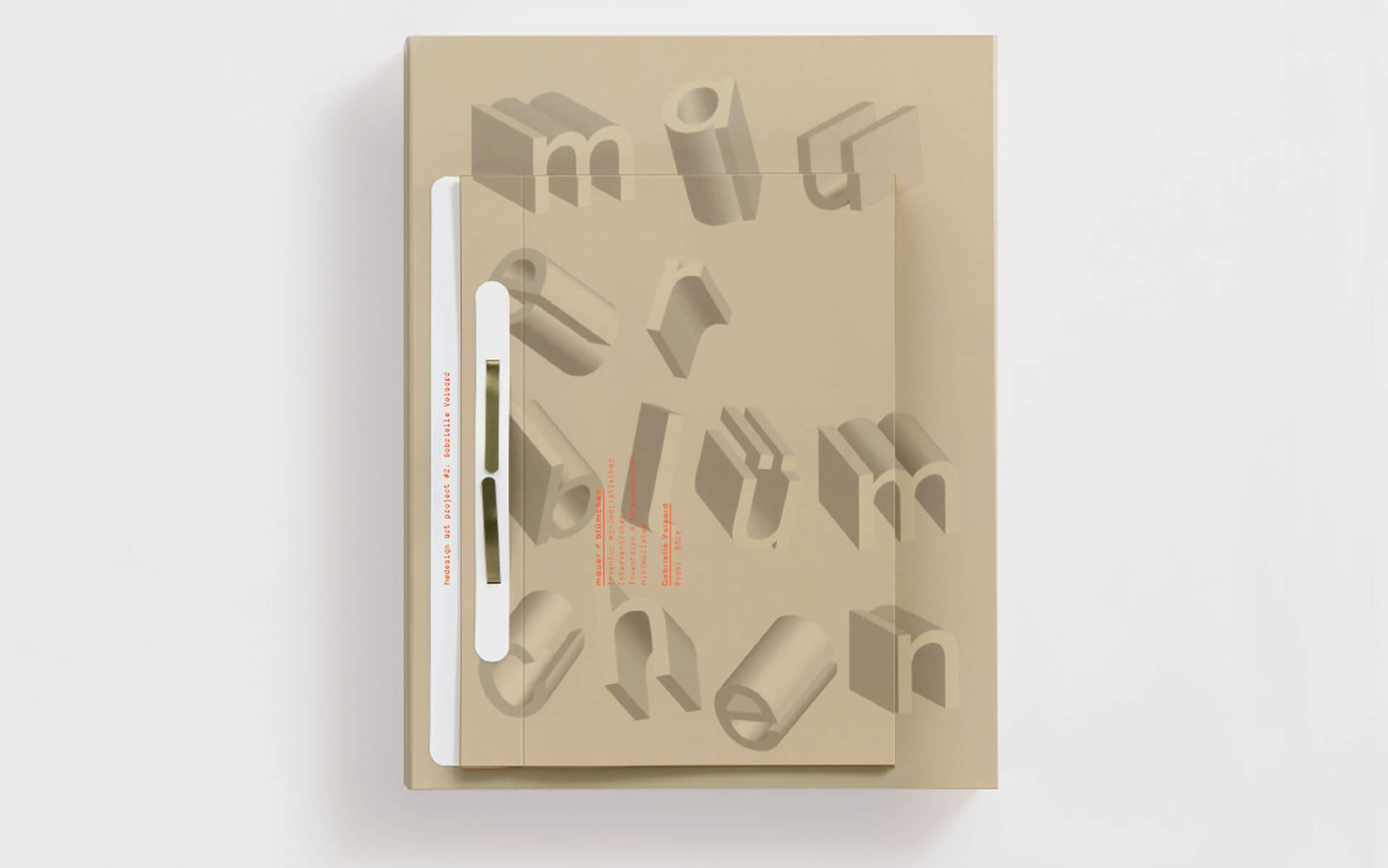 braunes Cover mit Typografie die Mauerblümchen bildet von dem Buch über das Kunstprojekt von Gabrielle Voisard
