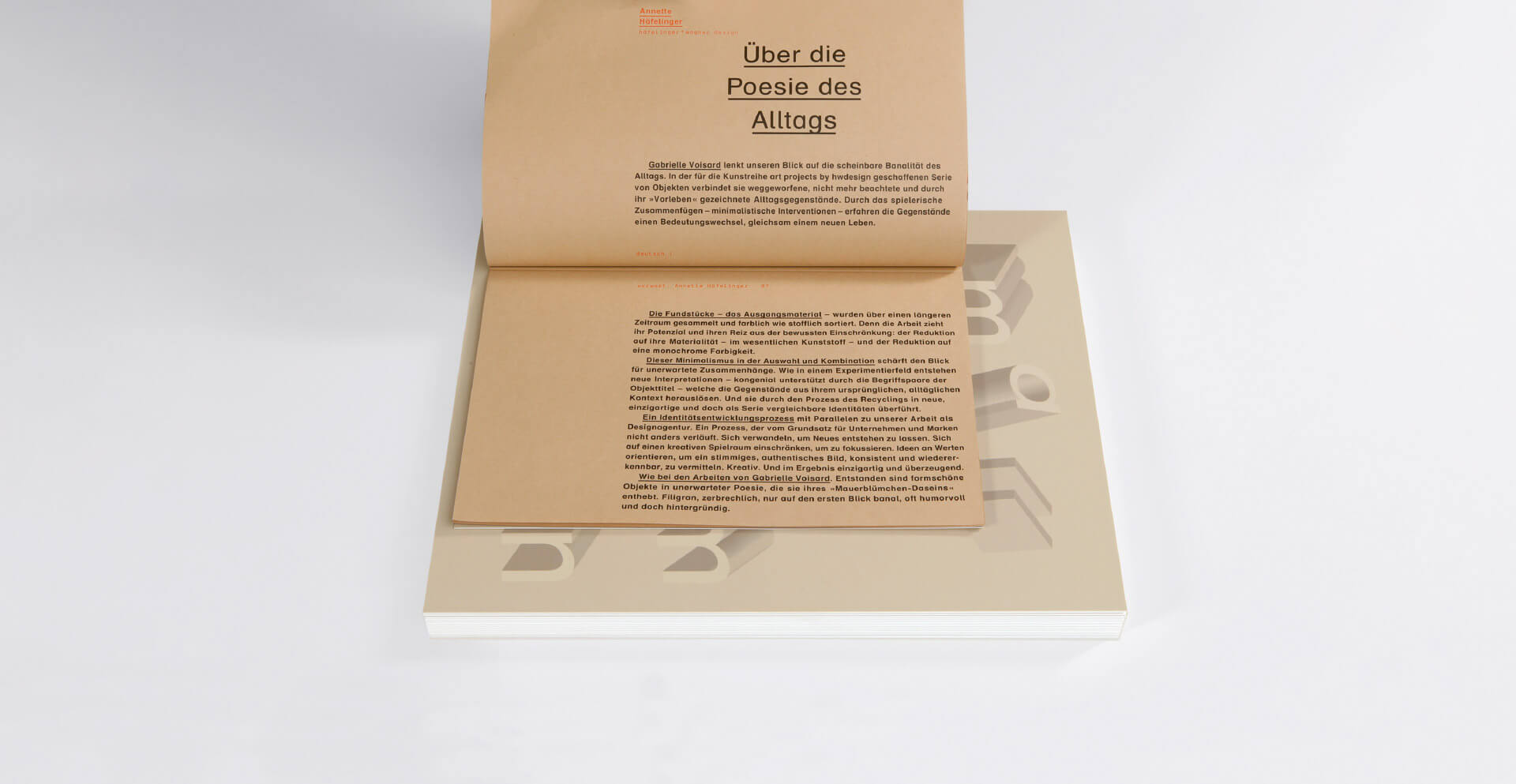 Einblick in die Printpublikation mit Typografie auf braunem Papier über das Kunstprojekt Mauerblümchen von Gabrielle Voisard