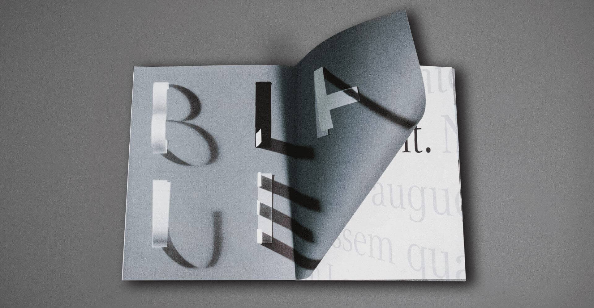 Doppelseite die umgeblättert wird mit der typografie BLAUE es ist bereits eine weiße Seite mit schwarzer Typo zu sehen