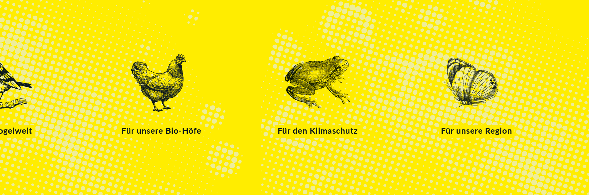 schwarz-weiß Illustrationen von verschiedenen Kleintieren aus dem Miniwildnis Projekt mit einem kurzen Satz drunter, liegen auf einem gelben Hintergrund. Zu sehen Huhn, Frosch, Schmetterling