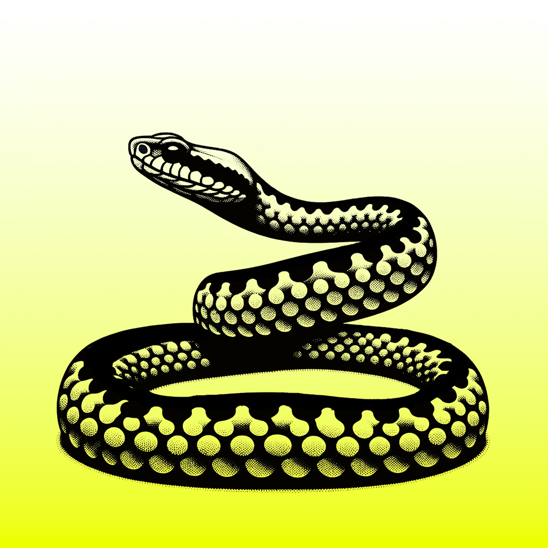 Illustration einer Kreuzotter vor einem gelb, weißen Verlauf